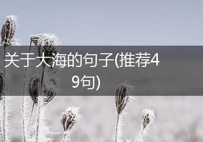关于大海的句子(推荐49句)