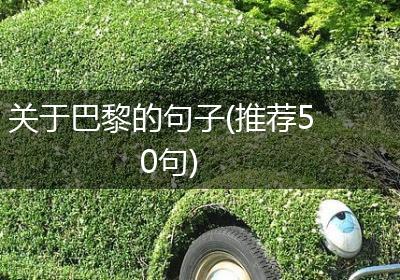 关于巴黎的句子(推荐50句)