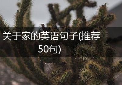 关于家的英语句子(推荐50句)