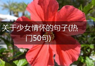 关于少女情怀的句子(热门50句)