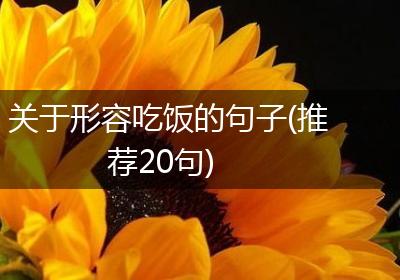 关于形容吃饭的句子(推荐20句)