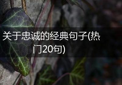 关于忠诚的经典句子(热门20句)