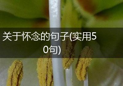 关于怀念的句子(实用50句)