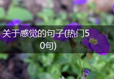 关于感觉的句子(热门50句)