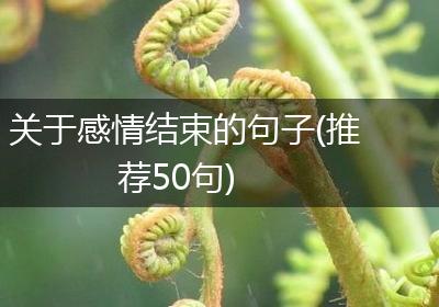 关于感情结束的句子(推荐50句)
