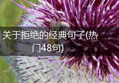 关于拒绝的经典句子(热门48句)