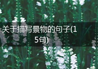 关于描写景物的句子(15句)