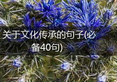 关于文化传承的句子(必备40句)