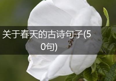 关于春天的古诗句子(50句)