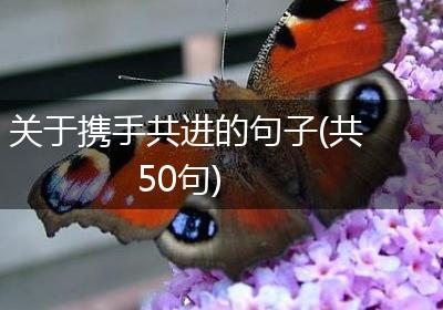 关于携手共进的句子(共50句)