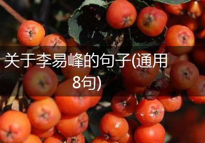 关于李易峰的句子(通用8句)