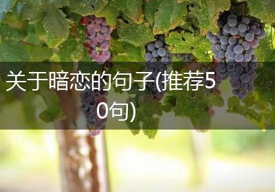 关于暗恋的句子(推荐50句)