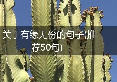 关于有缘无份的句子(推荐50句)