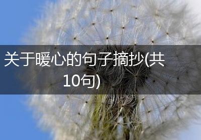 关于暖心的句子摘抄(共10句)