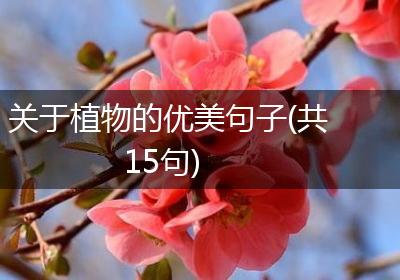 关于植物的优美句子(共15句)