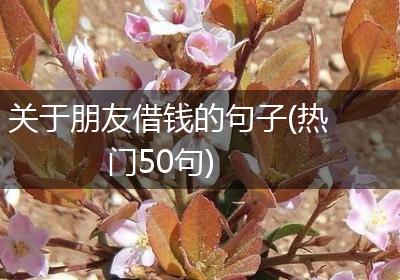 关于朋友借钱的句子(热门50句)