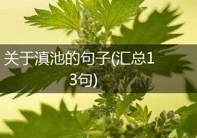 关于滇池的句子(汇总13句)