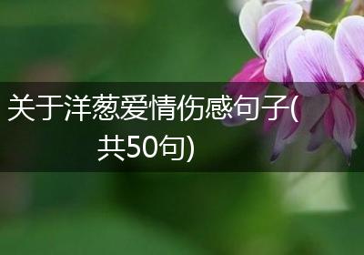 关于洋葱爱情伤感句子(共50句)