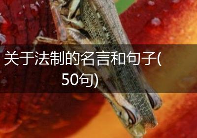 关于法制的名言和句子(50句)