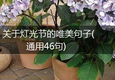 关于灯光节的唯美句子(通用46句)