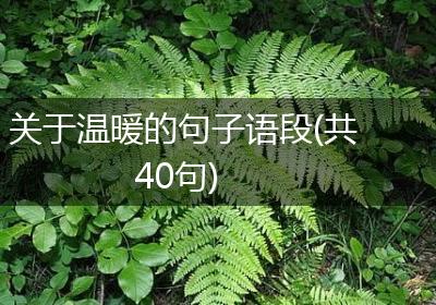 关于温暖的句子语段(共40句)