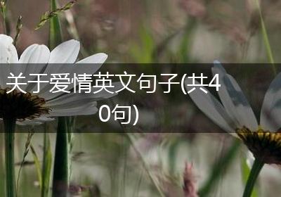 关于爱情英文句子(共40句)