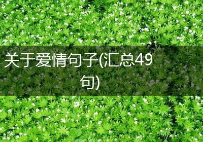 关于爱情句子(汇总49句)