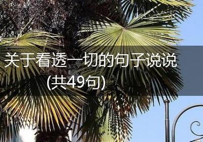 关于看透一切的句子说说(共49句)
