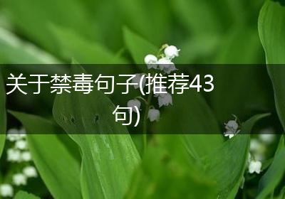关于禁毒句子(推荐43句)