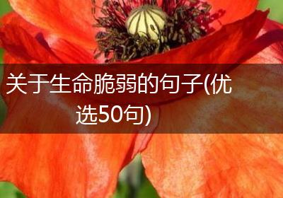 关于生命脆弱的句子(优选50句)