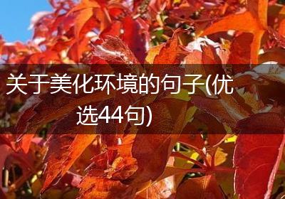 关于美化环境的句子(优选44句)