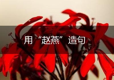 用“赵燕”造句