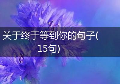 关于终于等到你的句子(15句)
