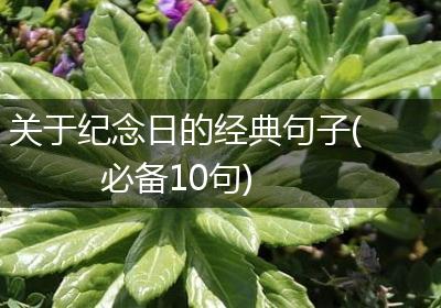关于纪念日的经典句子(必备10句)