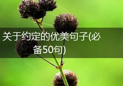 关于约定的优美句子(必备50句)
