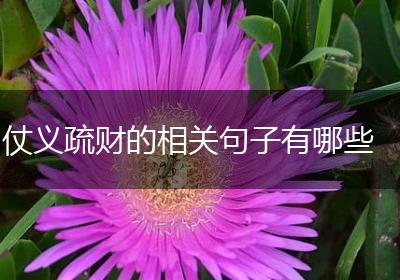 仗义疏财的相关句子有哪些