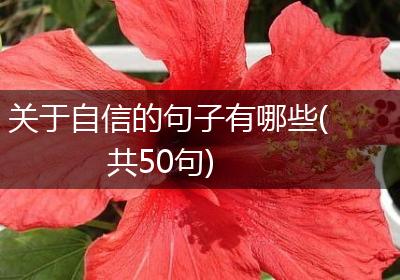 关于自信的句子有哪些(共50句)