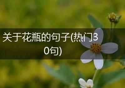 关于花瓶的句子(热门30句)