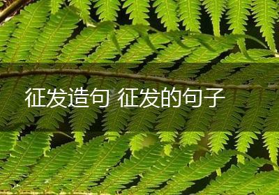征发造句 征发的句子