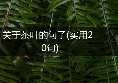 关于茶叶的句子(实用20句)