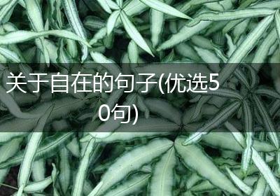 关于自在的句子(优选50句)
