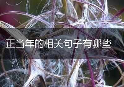 正当年的相关句子有哪些