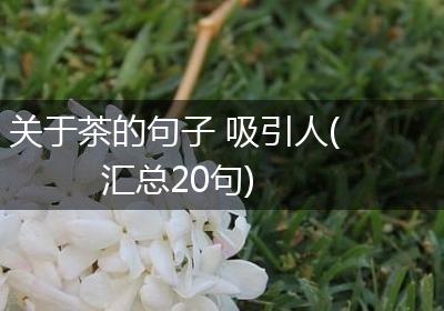 关于茶的句子 吸引人(汇总20句)