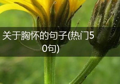 关于胸怀的句子(热门50句)