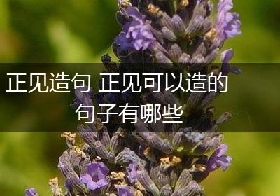 正见造句 正见可以造的句子有哪些
