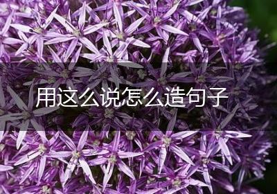 用这么说怎么造句子