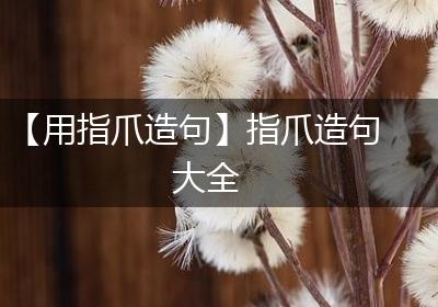 【用指爪造句】指爪造句大全