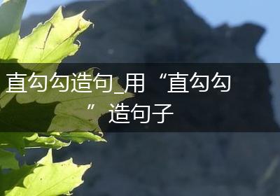 直勾勾造句_用“直勾勾”造句子