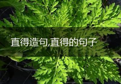 直得造句,直得的句子