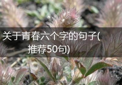 关于青春六个字的句子(推荐50句)